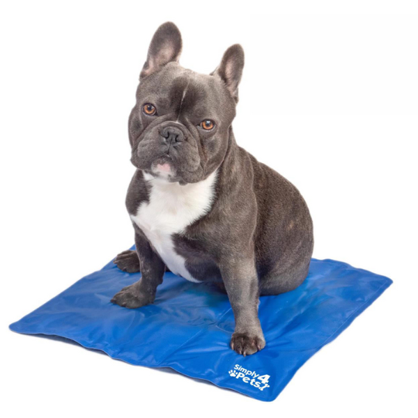 LSDGI-2254 Cooling Pet Mat 600x600_png_1